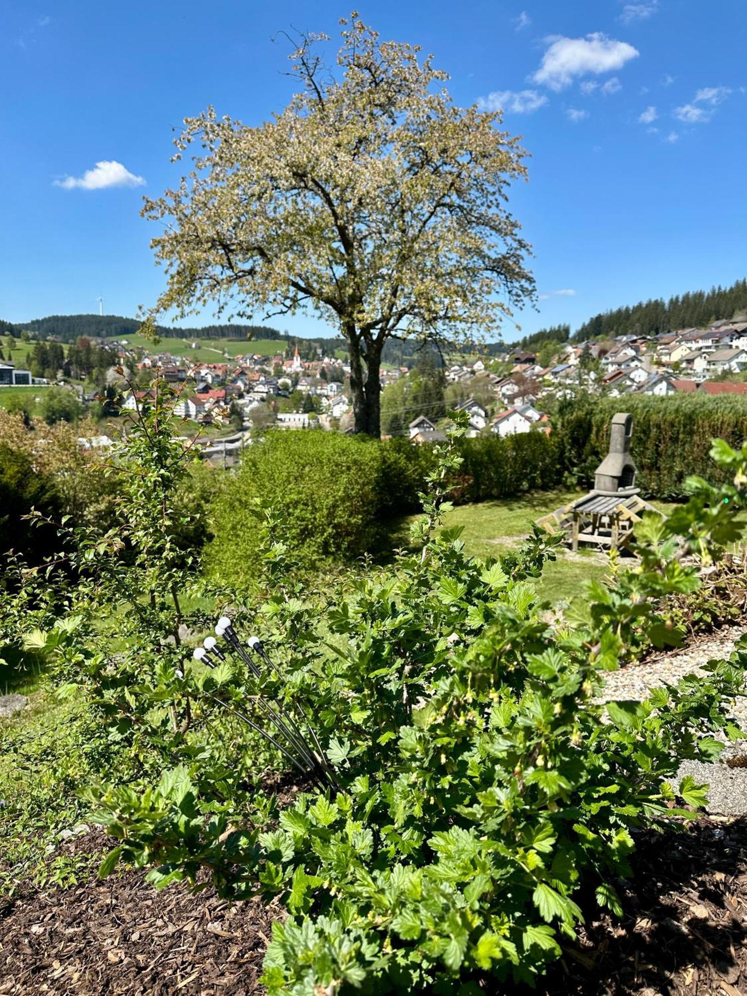 Sonneck Schonach Lägenhet Schonach im Schwarzwald Exteriör bild