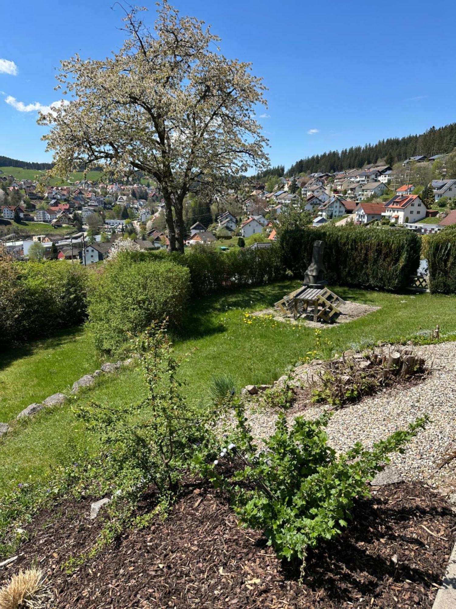 Sonneck Schonach Lägenhet Schonach im Schwarzwald Exteriör bild